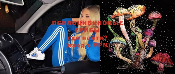 прущая мука Надым