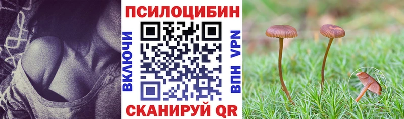 Купить закладки  Сергач  Псилоцибиновые грибы Psilocybe 